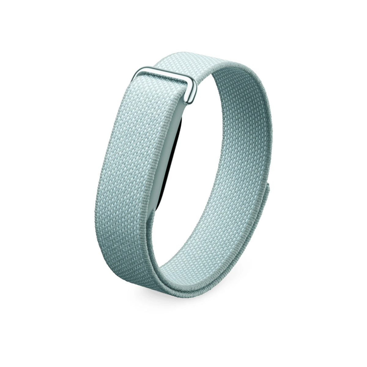 Google Fitbit Air in Fog with polished silver buckle
