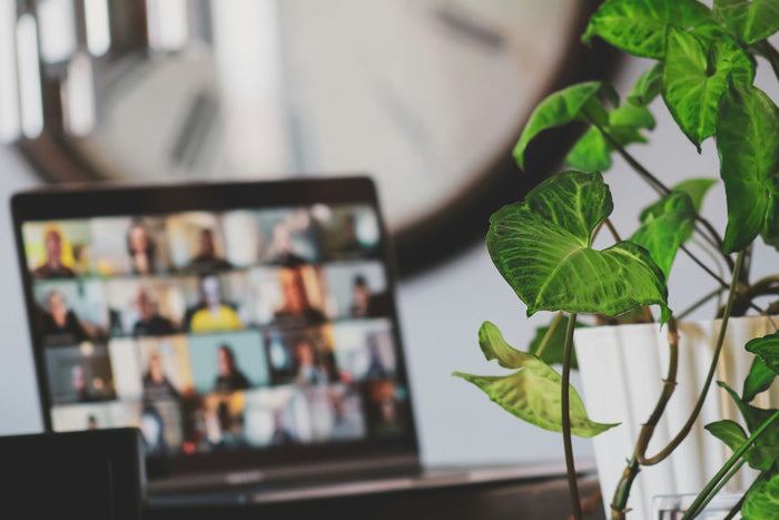 Laptop on a desk showing a video call, next to a houseplant