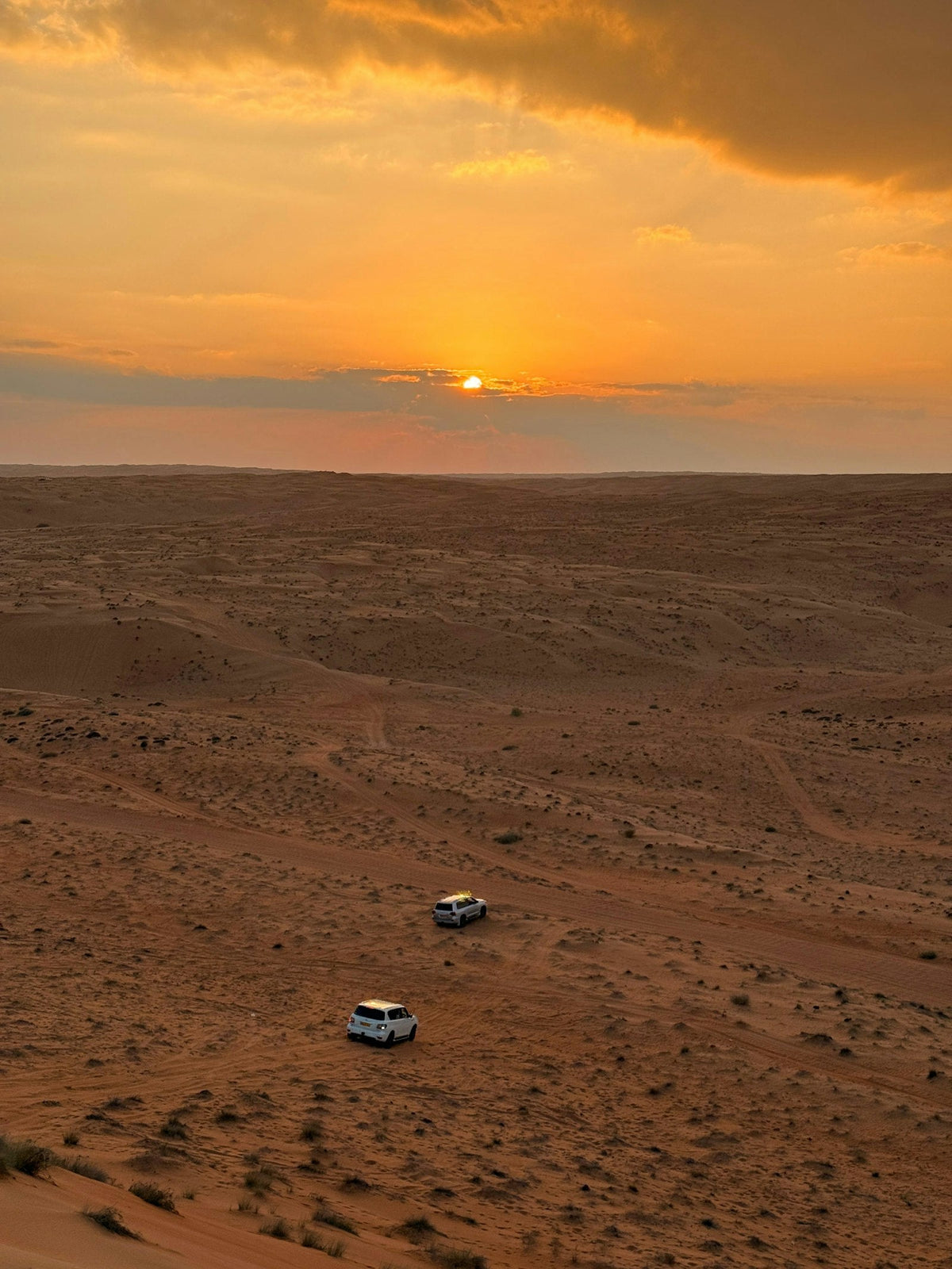 Two white SUVs driving across a desert at sunset