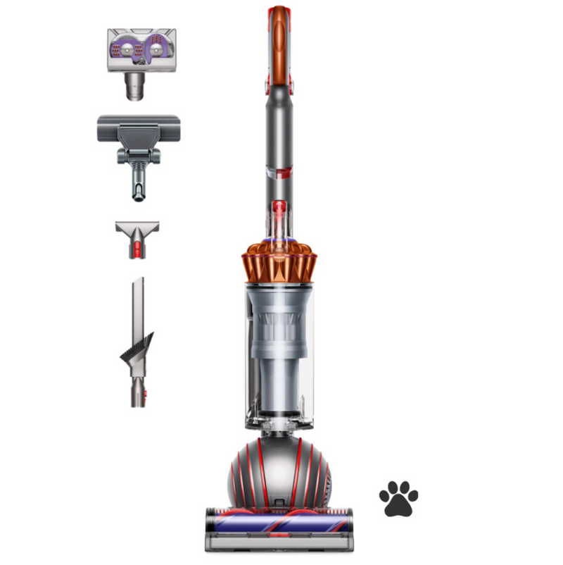 Dyson Ball Animal Multi-floor