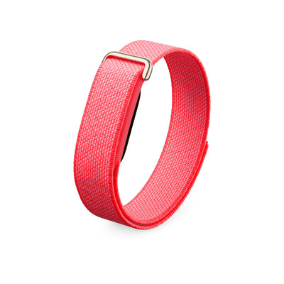 Fitbit Air Berry